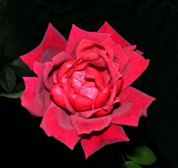 Oklahoma photo ok2013_09140011_zps0db1f07f.jpg